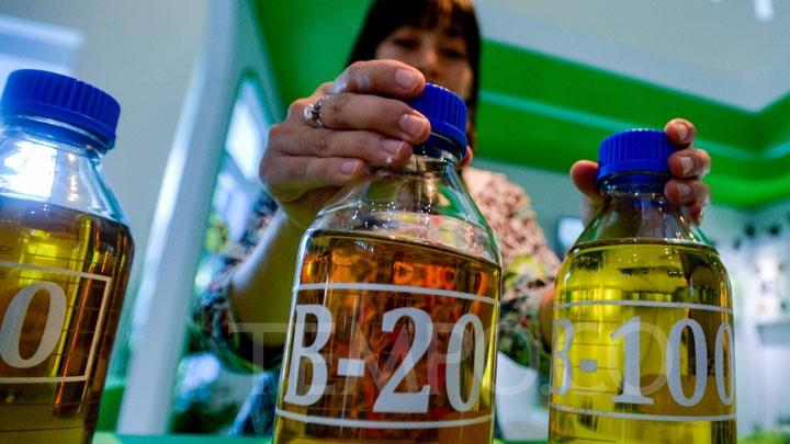 Mengenal Bioetanol, Bahan Bakar Nabati Pengganti Bensin yang dimaksud yang disebutkan Sedang Disiapkan otoritas